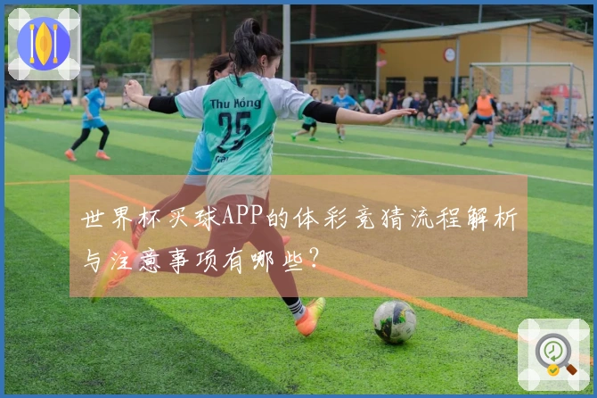 世界杯买球APP的体彩竞猜流程解析与注意事项有哪些？