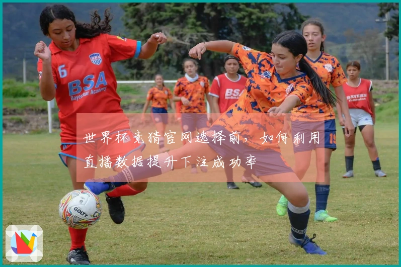 乐鱼体育资讯图片