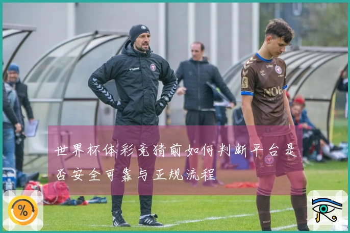 世界杯体彩竞猜前如何判断平台是否安全可靠与正规流程
